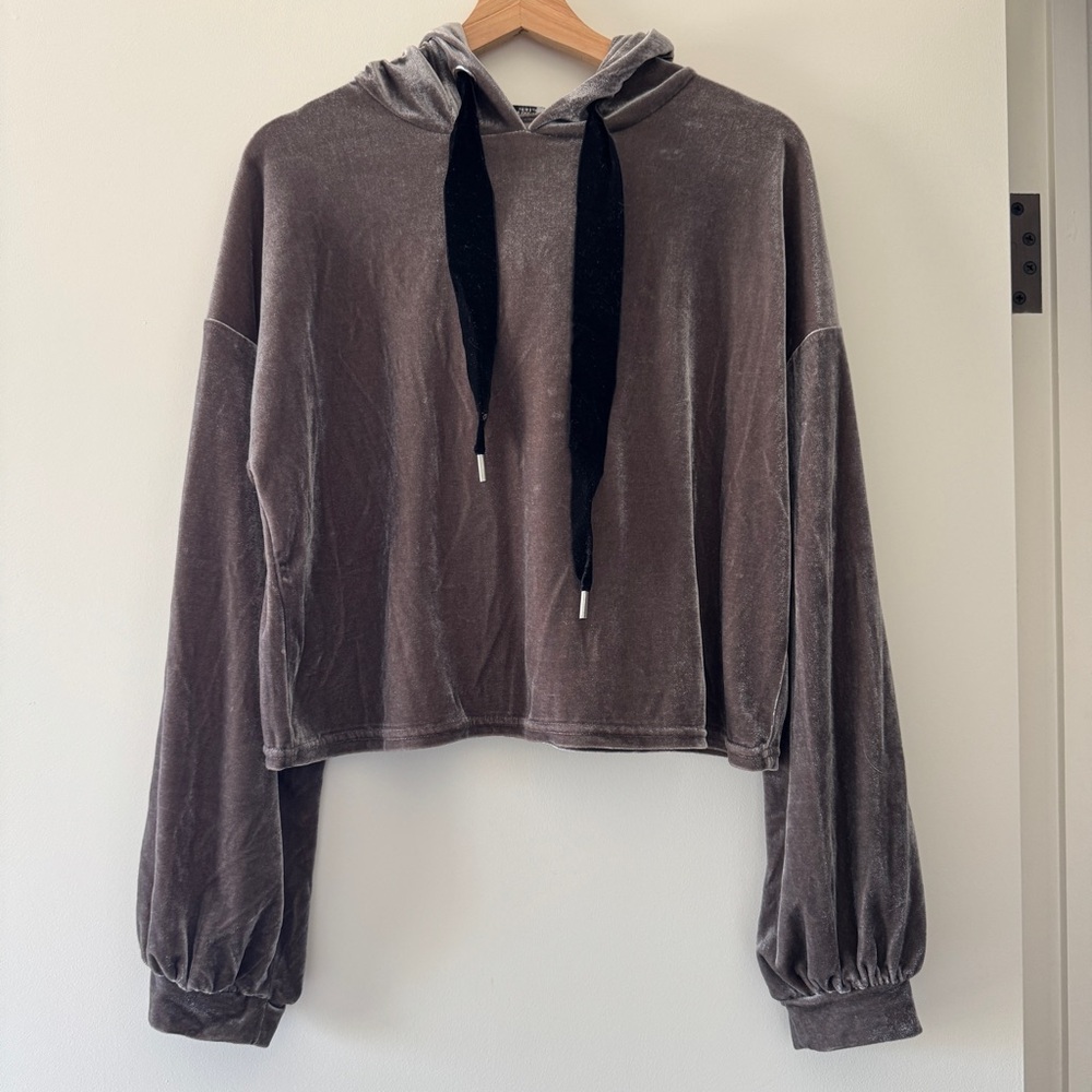 Zara Cropped Velvet Hoodie